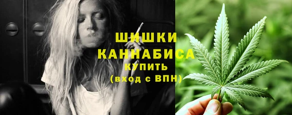 spice Гусиноозёрск