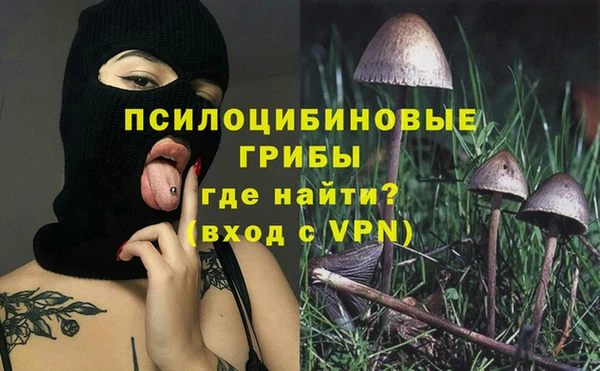 молекула духа Дмитровск