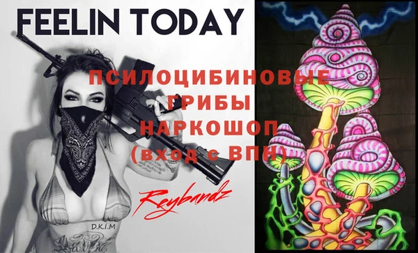 ГАЛЛЮЦИНОГЕННЫЕ ГРИБЫ Дмитров