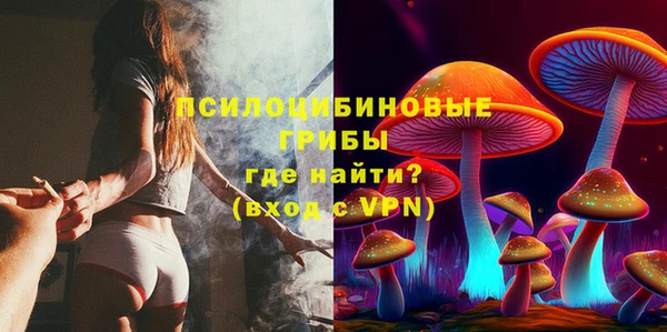 метадон Дмитриев