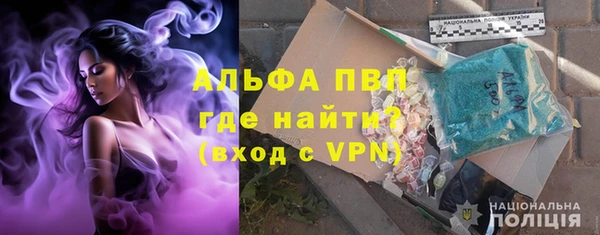 spice Гусиноозёрск