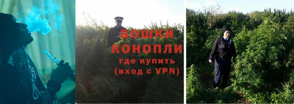 ГАЛЛЮЦИНОГЕННЫЕ ГРИБЫ Дмитров